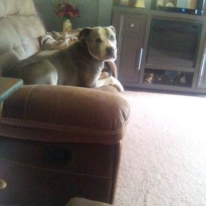 Meet your Posher, Ricky